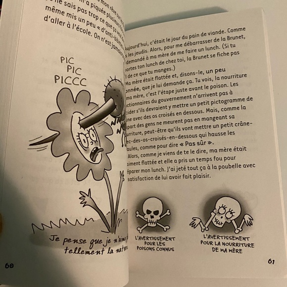 Dear Dumb Diary Books - 2 copies, French - Picture 2 of 2